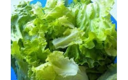 SUPL SAUCE ET SALADE VERT